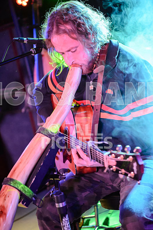 Buffalo Huddleston-490 - BUFFALO HUDDLESTON