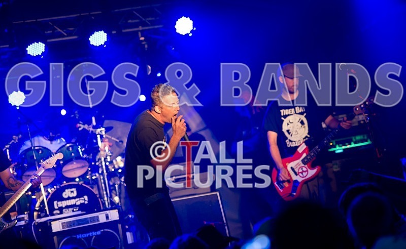 Spunge-48 - [spunge]