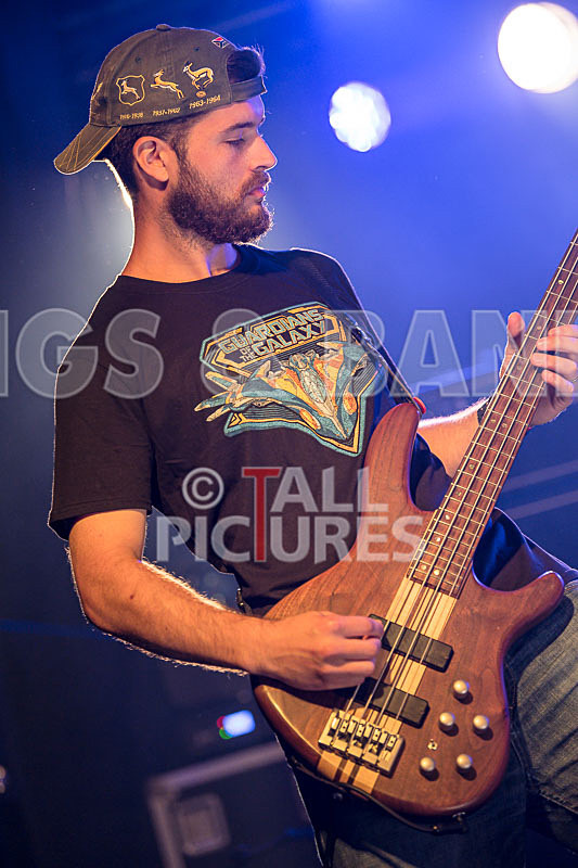 Demise of Sanity-133 - DEMISE OF SANITY