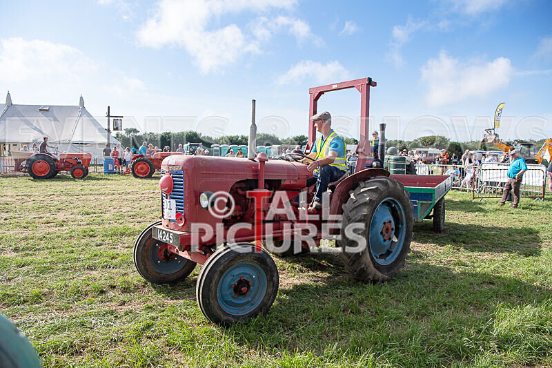Guernsey Agricultural Show 2021-273 - GUERNSEY AGRICULTURAL SHOW 2021