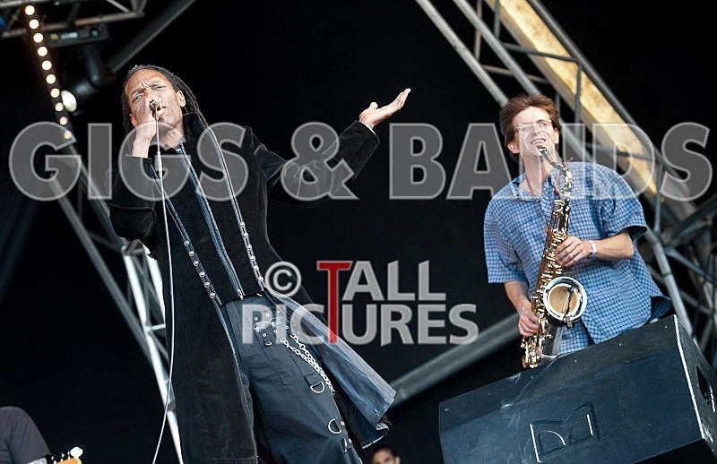 The Beat-33 - THE BEAT