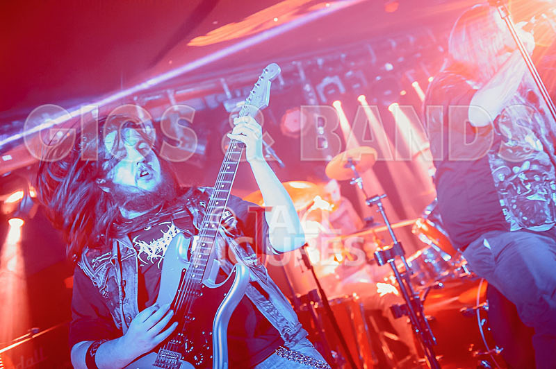 Stone Em All-262 - STONE EM ALL