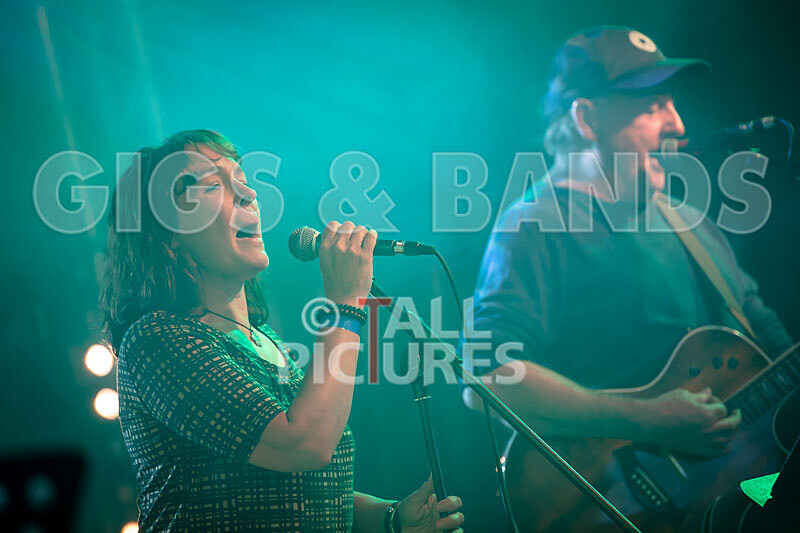 The Vinyls-5 - THE VINYLS