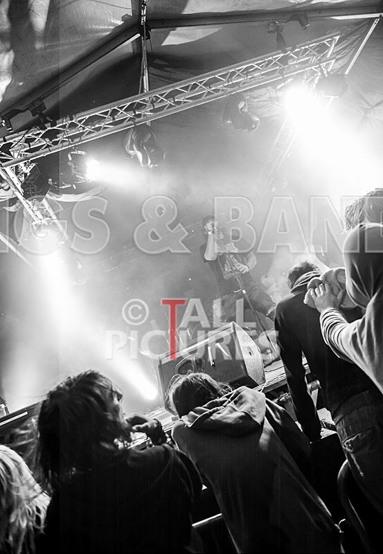 Viking Skull-7 - VIKING SKULL