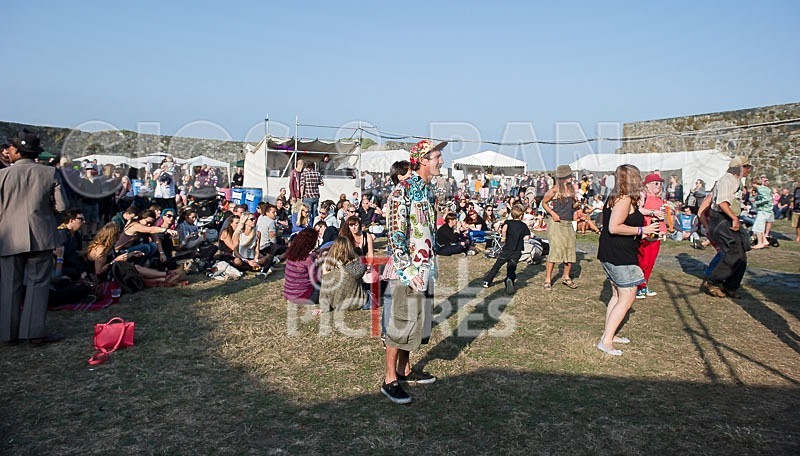 Vale Earth Fair_2013_Atmosphere-9 - VALE EARTH FAIR 2013_THE ATMOSPHERE