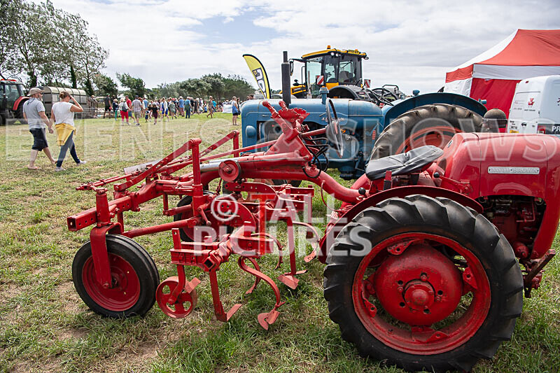 Guernsey Agricultural Show 2021-88 - GUERNSEY AGRICULTURAL SHOW 2021
