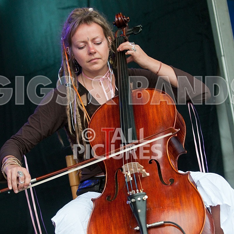 Lloyd Yates-4 - VALE EARTH FAIR 2009