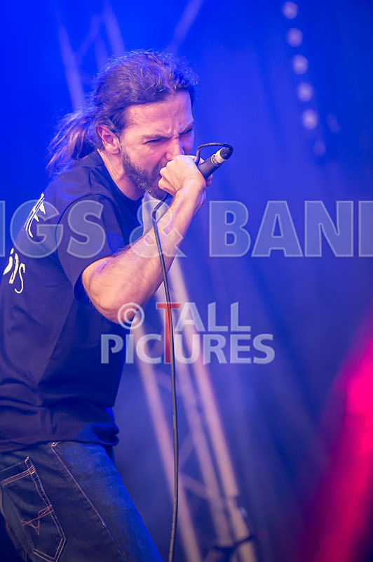 To the Woods-130 - TO THE WOODS