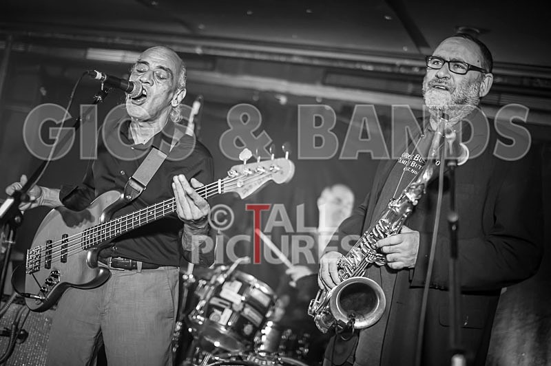 Norman Watt-Roy Band-42 - THE NORMAN WATT-ROY BAND with WILKO JOHNSON