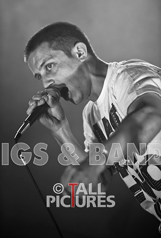 Asylum Seekas-11 - ASYLUM SEEKAS AT IVY CASTLE