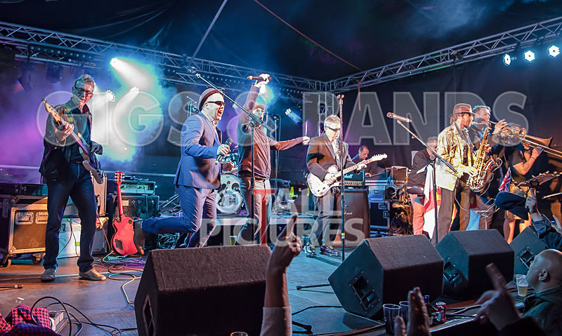 Sons of the Desert-243 - SONS OF THE DESERT