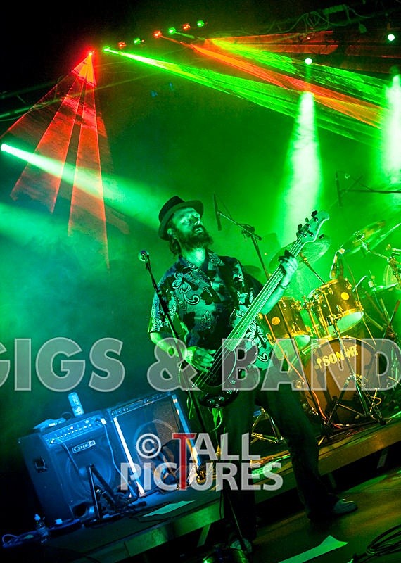 Peppered Ant Legs-17 - PEPPERED ANT LEGS at RoA-3