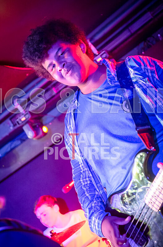 Australian Death Roach-39 - AUSTRALIAN DEATH ROACH