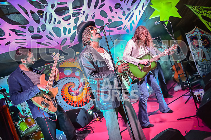 The Recks-669 - THE RECKS