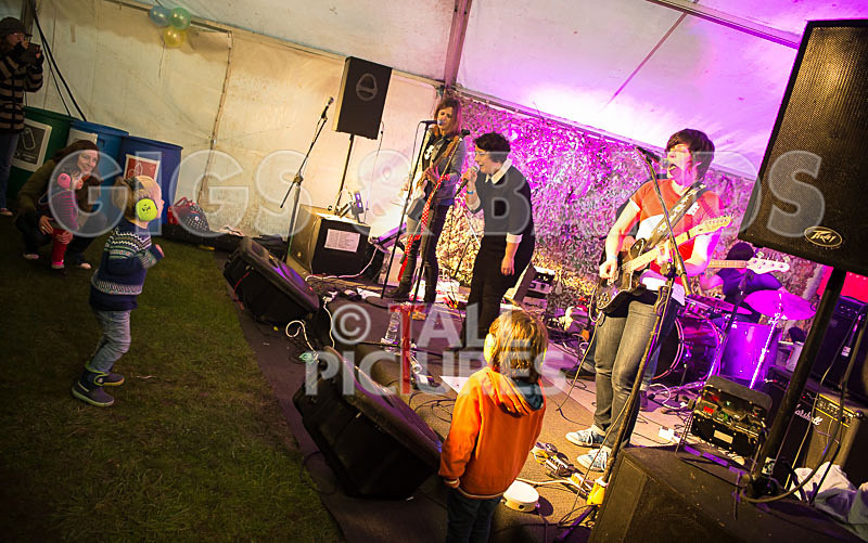 Swallows-12 - SWALLOWS