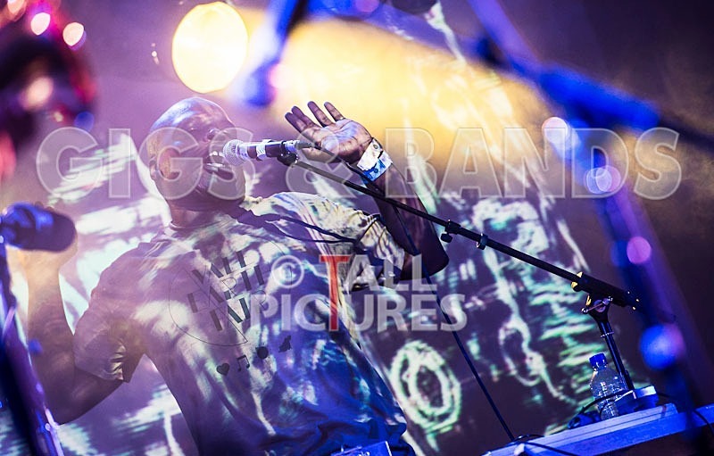 Rebel Control-4 - REBEL CONTROL