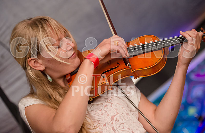 Buffalo Huddleston-227 - BUFFALO HUDDLESTON