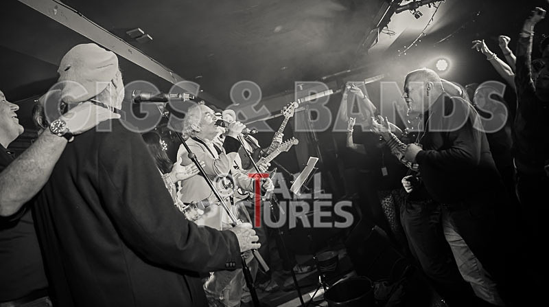 Alfie Bartons 25th Anniversary Gig-28 - ALFIE BARTON'S 25th ANNIVERSARY SPECIAL
