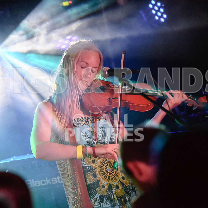 Buffalo Huddleston-499 - BUFFALO HUDDLESTON