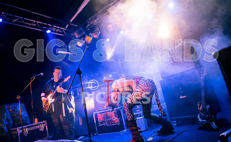 Pussycat and the Dirty Johnsons-53 - PUSSYCAT AND THE DIRTY JOHNSONS