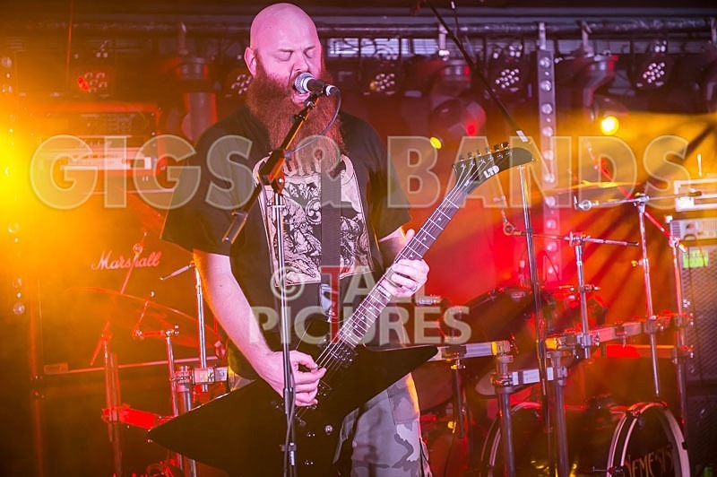 Byzanthian Neckbeard-50 - BYZANTHIAN NECKBEARD