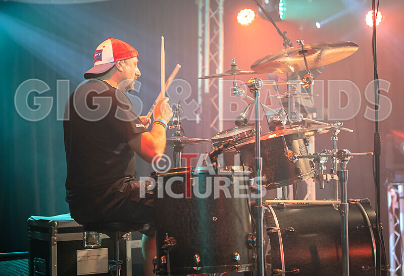 Foxy Stoat Seeks Pig-24 - FOXY STOAT SEEKS PIG