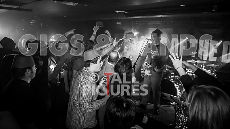 Sons of the Desert-170 - SONS OF THE DESERT