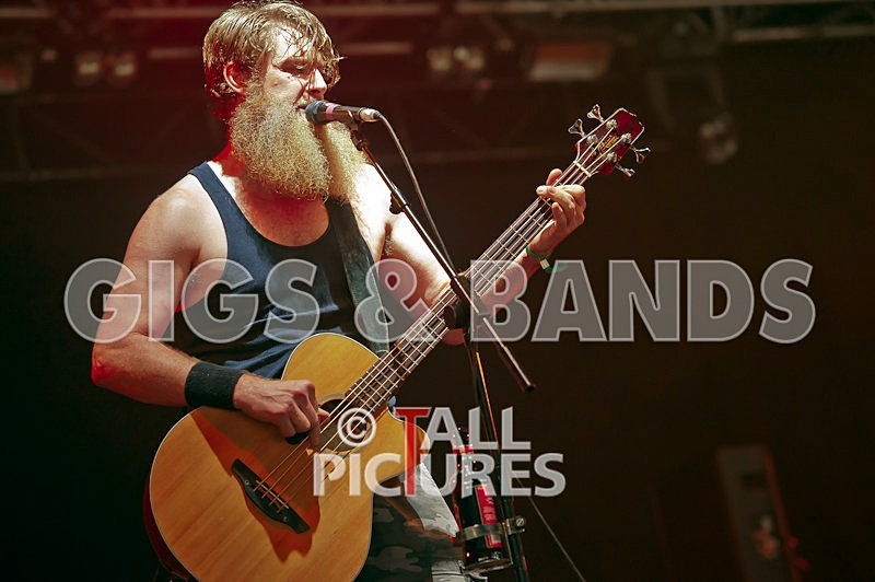 Hayseed Dixie-17 - HAYSEED DIXIE