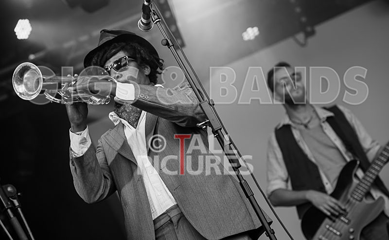 The Recks-304 - THE RECKS