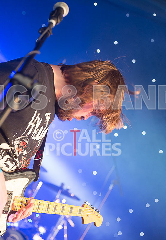 To the Woods-346 - TO THE WOODS