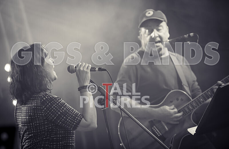 The Vinyls-15 - THE VINYLS