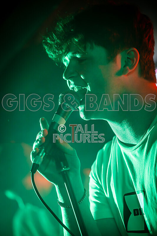 Black Dog-4 - BLACK DOG