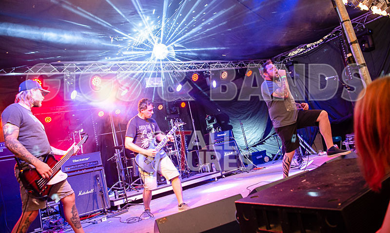 Granite Wolf-34 - GRANITE WOLF