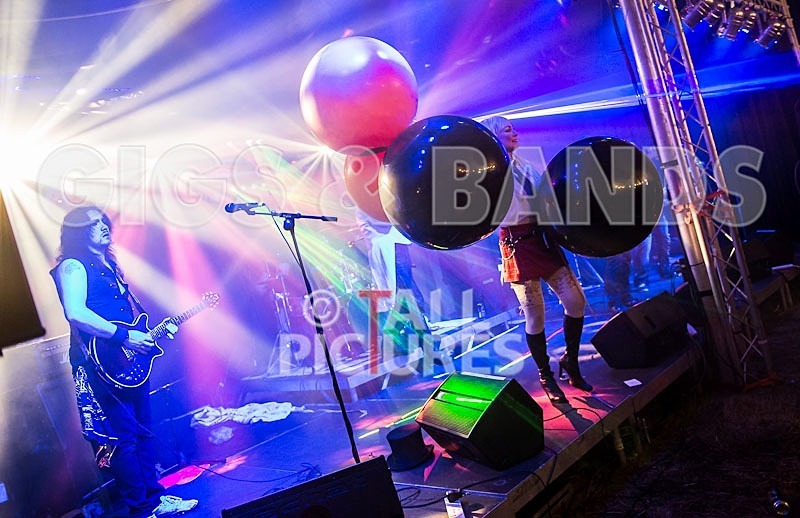 Gallus Cooper-61 - GALLUS COOPER