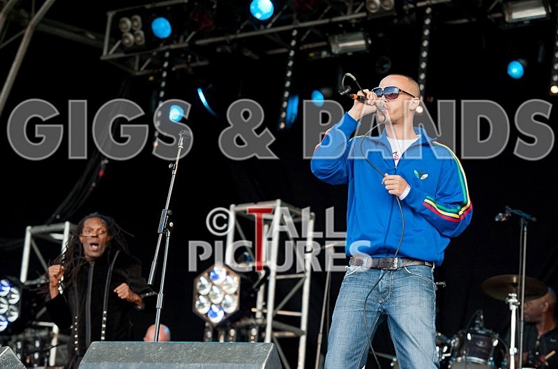 The Beat-39 - THE BEAT