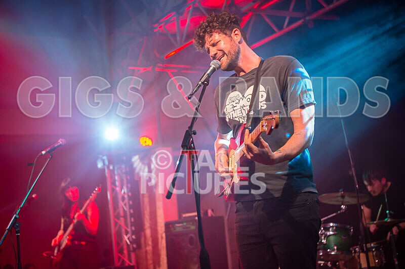 The Tarantulips-38 - THE TARANTULIPS