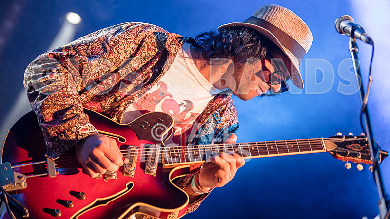 Surfin Birds-2 - SURFIN' BIRDS