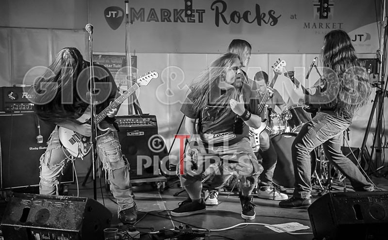 Stone Em All-330 - STONE EM ALL