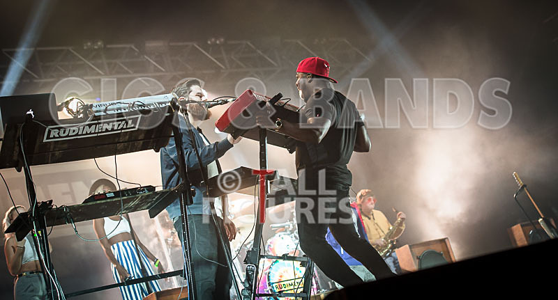 Rudimental-44 - RUDIMENTAL