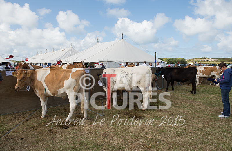 West Show_2014-4 - THE WEST SHOW 2014