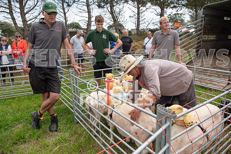 Guernsey Agricultural Show 2021-126 - GUERNSEY AGRICULTURAL SHOW 2021