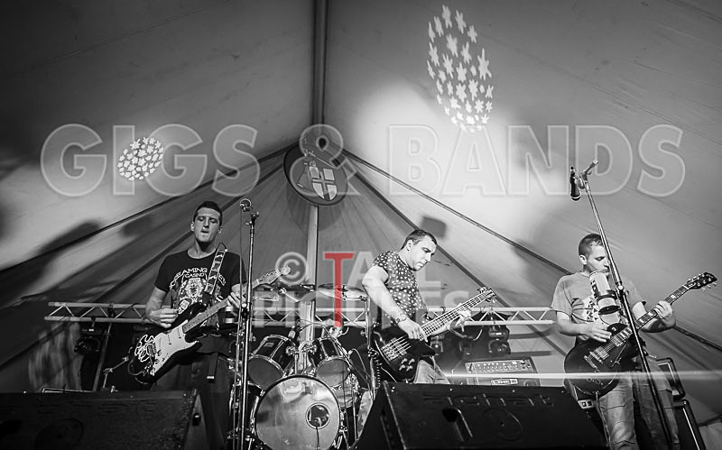 Subversion-39 - SUBVERSION