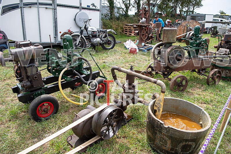 Guernsey Agricultural Show 2021-18 - GUERNSEY AGRICULTURAL SHOW 2021