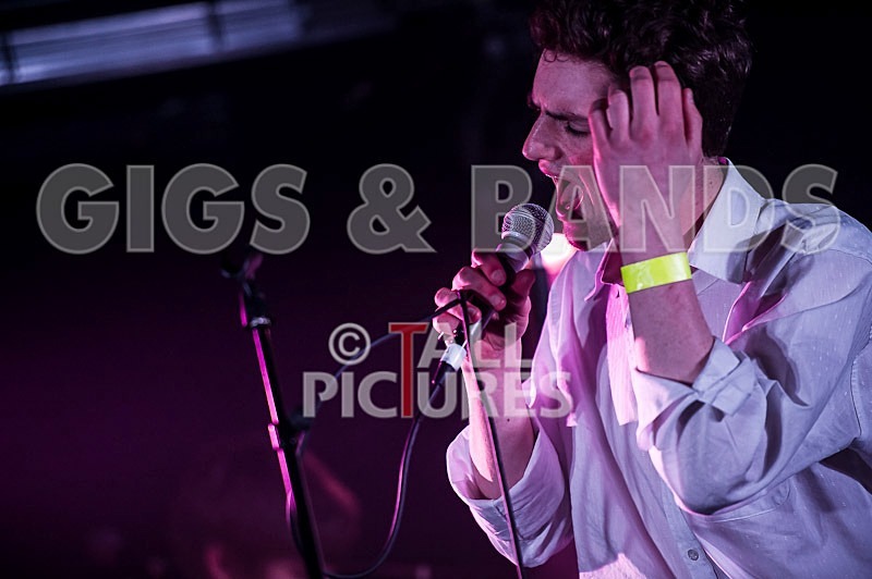 China Aster-83 - CHINA ASTER