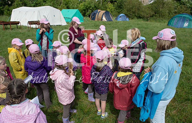 Big Brownie Birthday Party-26 - BROWNIE CENTENARY BROWNIE SLEEPOVER