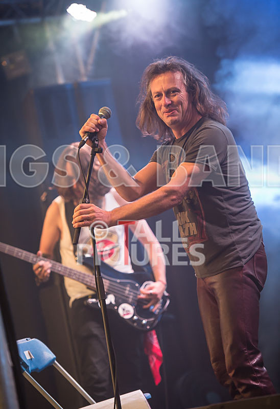 Rat Salad-8 - RAT SALAD