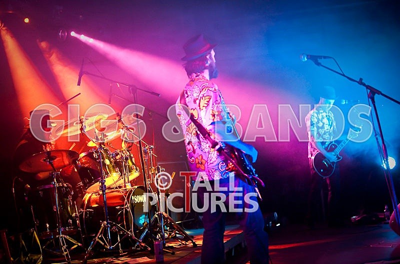 Peppered Ant Legs-24 - PEPPERED ANT LEGS at RoA-3