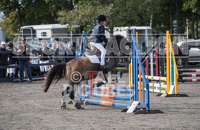 North Showjumping_2016-3 - NORTH SHOW SHOWJUMPING 2016