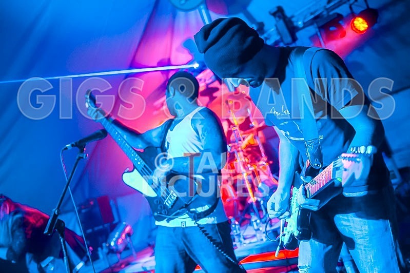 Static Alice-24 - STATIC ALICE