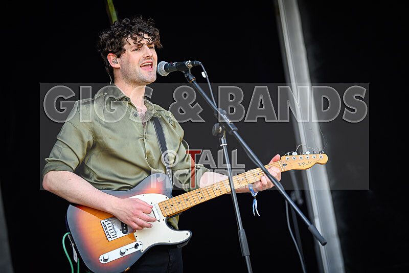 China Aster-119 - CHINA ASTER